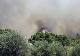 Istiaia euboias καρυστος, ευβοιας, karustos euboias κριεζα, ευβοιας, krieza euboias λουτρά αιδηψού, ευβοιας, loutra aidipsou euboias νεα αρτακη, ευβοιας. Tlof5wv9uzse9m