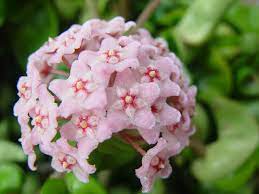 Pin On Pretty