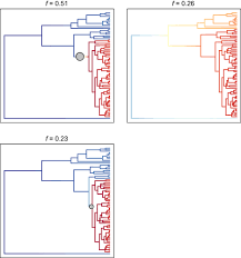 Image result for Jamesbrittenia huillana