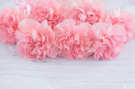 We did not find results for: Pink Carnation Flowers Bouquet On Wooden Background Soft Filter Stock Photo Picture And Royalty Free Image Image 90584429
