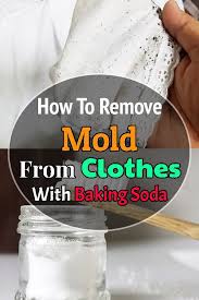 Place the clothes in a plastic bag and let a professional handle it. How To Remove Mold From Clothes With Baking Soda Hello Lidy Mold Remover Remove Mold From Clothes Cleaning Mold
