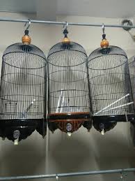 Maybe you would like to learn more about one of these? Sedia Berbagai Jenis Sangkar Jual Beli Sangkar Burung Facebook