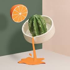 sonora cactus juicer cactus design citrus juicer doiy presse agrume agrumes ustensile cuisine