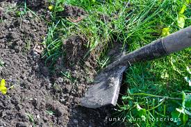 How To Edge Flowerbeds Like A Pro Via Funky Junk Interiors Flower Bed Edging Flower Beds Garden Edger