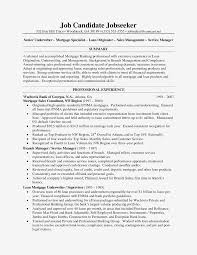 Insurance Underwriter Resume Samples For 2021 Printable And Downloadable Cust