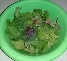 Masih edisi panen bayam merah. Recipe Spinach Stir Fry Bayam Tumis Bilingual