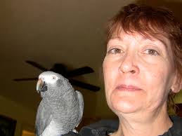 Moving On: The Aftermath of Wings Over the Rainbow