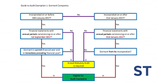 In malaysia, the audit exemption has implemented for dormant company malaysia and small companies malaysia. Guides St Partners Plt Chartered Accountants Malaysia Facebook