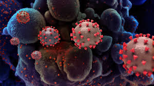 Use it in your personal projects or share it as a cool sticker on. Fda And Global Partners To Analyze Coronavirus Samples Fda