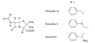 Image result for Extended Spectrum Penicillin