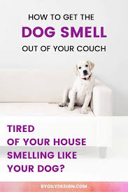 A house that smells like your beloved dog can be a nuisance, but with proper care and health maintenance, you can greatly reduce the problem. How To Get Dog Smell Out Of Your Couch By Oily Design