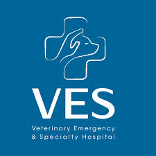 Maybe you would like to learn more about one of these? Vet Emergency Specialty Hospital Singapore Home Facebook