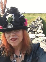 Lanark County Dry Stone Fences