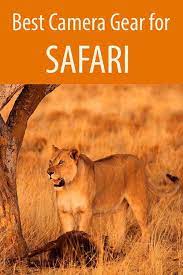 Best Camera Lens For Safari In Africa Safari Photography Best Camera Travel Photography Tips