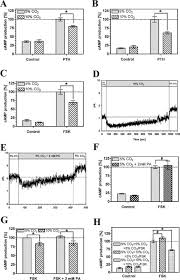 We would like to show you a description here but the site won't allow us. Elevated Carbon Dioxide Blunts Mammalian Camp Signaling Dependent On Inositol 1 4 5 Triphosphate Receptor Mediated Ca2 Release Journal Of Biological Chemistry