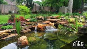 Whenever you water your plant beds, also 'water' your pond to make up for any liquid that has evaporated over the week. 7 Ecological Benefits Of Incorporating A Pond In Your Yard