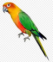 9 sketsa gambar burung terbaik terlengkap 1001 keistimewaan sketsa gambar burung terlengkap dan penjelasany 30 gambar. 55 Gambar Kolase Burung Love Bird Terbaru Top Gambar Kolase