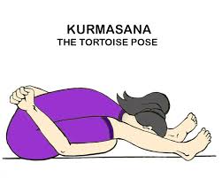 Kurmasana The Tortoise Pose Vazhga Valamudan