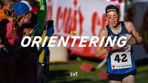 SVT Nyheter - News update