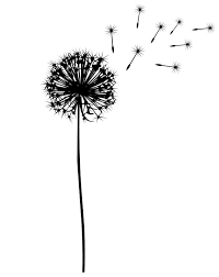 Ihappywall 3 pieces dandelion canvas wall art black and white fluttering dandelion nature flower picture print on canvas modern home decor stretched and framed ready to hang 12x16inchx3pcs. Pin By Shirleychiche On Flex Flock Flux Flower Silhouette Dandelion Silhouette Stencil