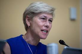 House Dem voting with Covid