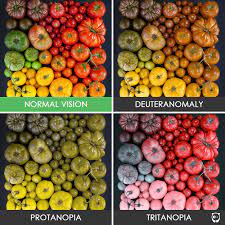 Check spelling or type a new query. You Ll Be Amazed How People With Color Blindness See The World 57 Pics Bored Panda
