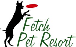 The small enrichment bundle includes an enrichment activity is time spent outside of your pet's room doing what they enjoy most. Fetch Pet Resort Dog Boarding Grooming Day Camp In Humble Tx