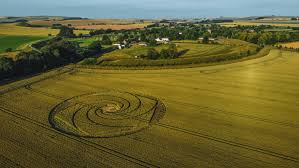 Círculos nas plantações: mito, farsa, "teorias" e história