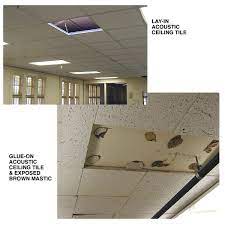 The scope of work, risk level, access, amount of waste generated, materials required and timeline are all factors that will dictate the cost of asbestos abatement. Asbestos Fact Sheet Stanford Environmental Health Safety
