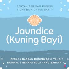 This is because newborns make more bilirubin than adults do and also because their liver. Facebook