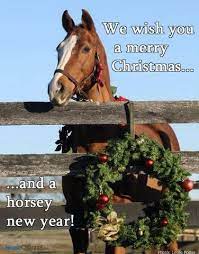 Happy Horsey Year Horses Horse Christmas We Wish You A Merry Christmas