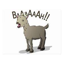 Screaming Goat Doodle Noodle Designs Postcard Zazzle Com G O A T Wallpaper Doodles Goats