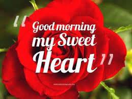 Universal good morning texts for her. Good Morning Rose For Her Good Morning Love Good Morning Rose Images Good Morning Roses