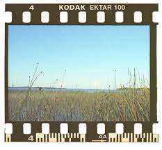 How To Clean Negative Film With Isoporpyl Alcohol Before Scanning