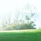 2026 CPTS Golf Tournament