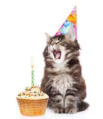 Happy Birthday Cat Images 2020 Happy Birthday Wishes A Birthday Is A Day In Everyone Life So Ev Happy Birthday Cat Happy Birthday Cat Images Cat Birthday