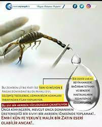ǝɔun s n p un ƃzo adli kullanicinin tefekkur panosundaki pin