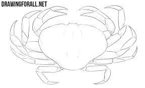 One should be larger than the other for effect. How To Draw A Crab Drawingforall Net