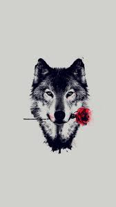 Rose Wallpaper Iphone Wallpaper Aihc Wa Org Wolf Wallpaper Art Wallpaper Iphone Animal Wallpaper