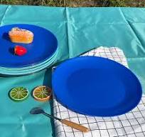 Amazon.com | AOYITE Plastic Plates Reusable 10 inch ...