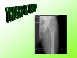 A complete list of muscular system quizzes; The Thigh Muscles Lecture Ppt Download