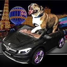 When you bring your vehicle to european motorcars for maintenance, you'll have a team of professionals at your service. All European Auto Repair Las Vegas Home Facebook