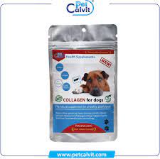kedi kopek eklem destekleyici panosundaki pin