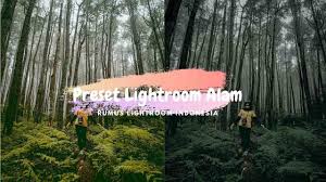 Fotowissen nach bedarf und anspruch. Pin Di Rumus Lightroom Ala Selebgram Tutorial Lightroom