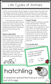 Build Your 3rd 4th Or 5th Graders Understanding Of Animal Life Cycles Complete And Incomplete Metamor Animal Life Cycles Life Cycles Life Cycles Activities