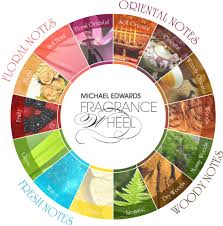 decoding the fragrance wheel parfumplus magazine