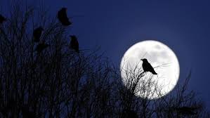 Aufgrund seiner elliptischen umlaufbahn variiert die entfernung des mondes von der erde zwischen ungefähr 363.345 km und 405.500 km….mondkalender und mondphasen 2021. Mond Warum Leuchtet Der Mond Br Kinder Eure Startseite