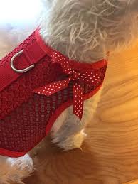 breathable red mesh summer small dog harness made in usa etsy small dog harness dog harness small dogs