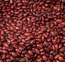 Image result for Vigna unguiculata