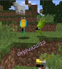 Orphea2012 Youtube Et Minecraft Minecraft Les Perroquets Volent La Tete En Bas Minecraft Perroquet Tete De